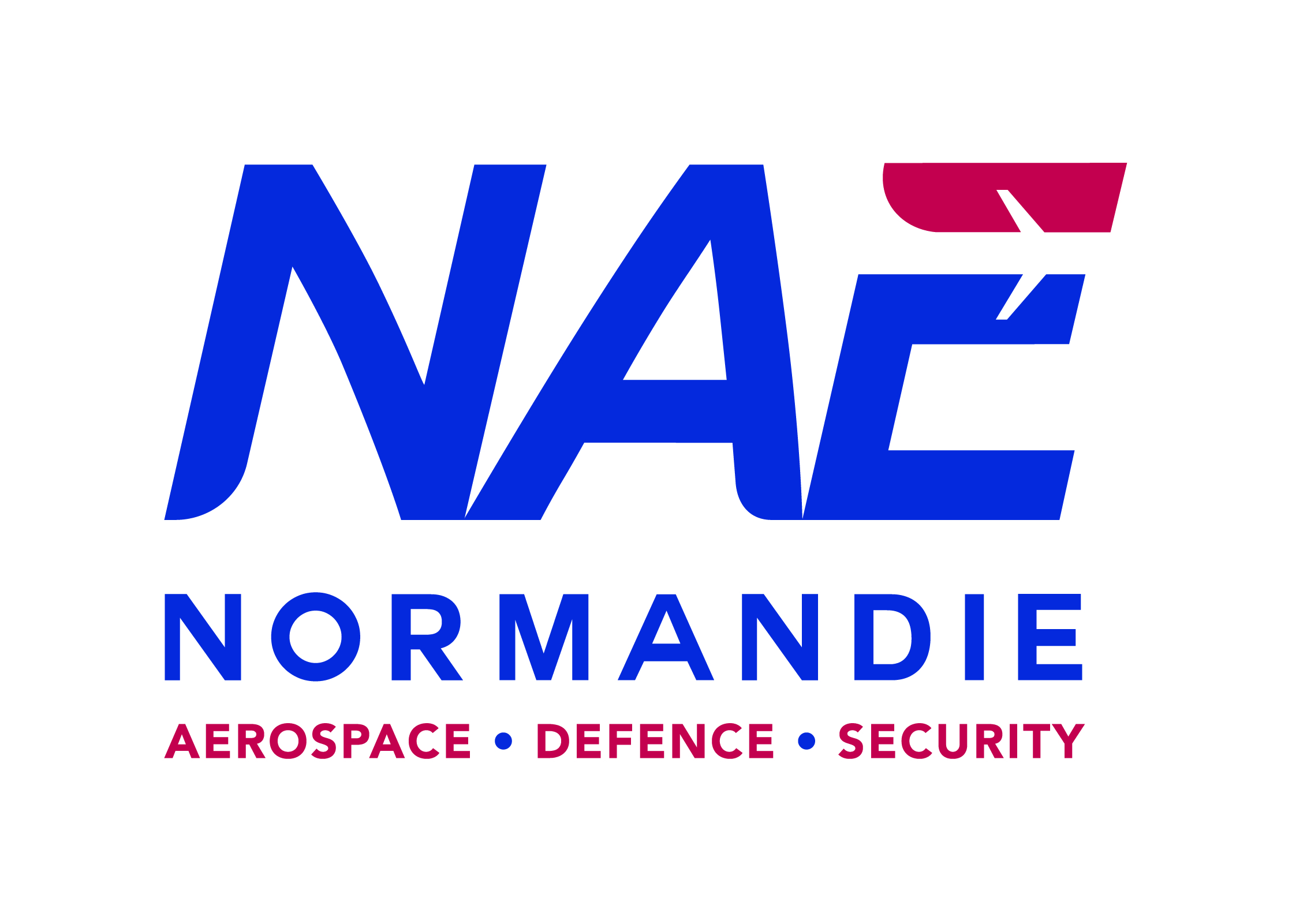 logo NAE